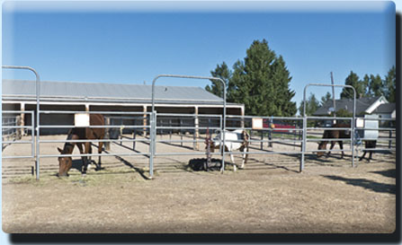 Stall Barn