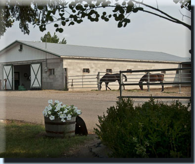 Stall Barn